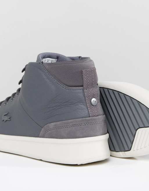 Lacoste explorateur deals classic high tops