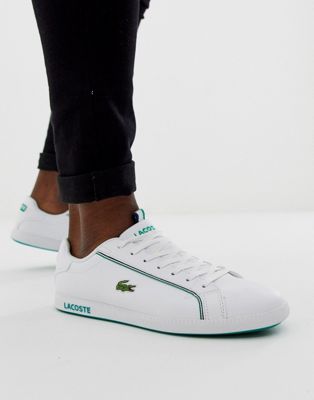 Lacoste graduate sneaker in white/green 