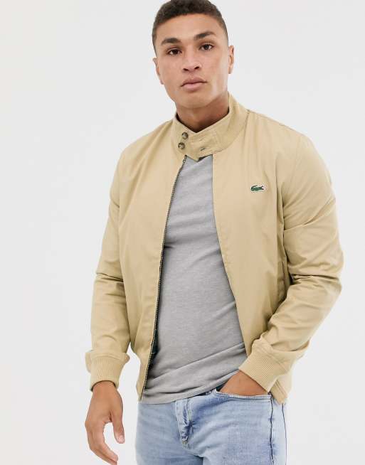 Mens lacoste harrington clearance jacket