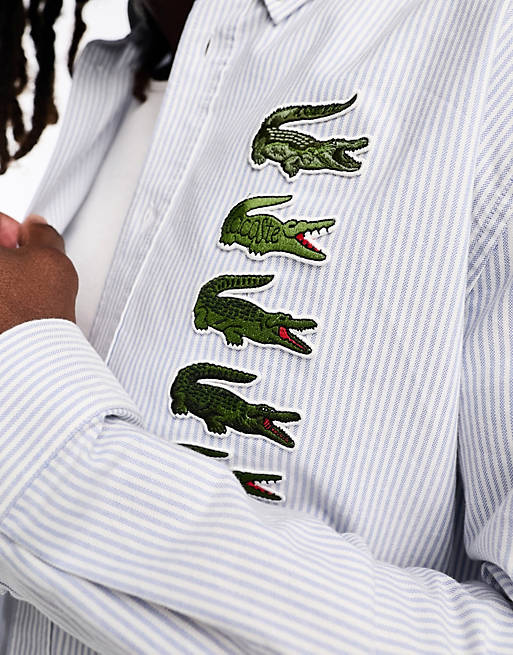 Lacoste – Langärmliges, gestreiftes Hemd in Weiß und Blau mit gestapeltem  Kroko-Logo | ASOS