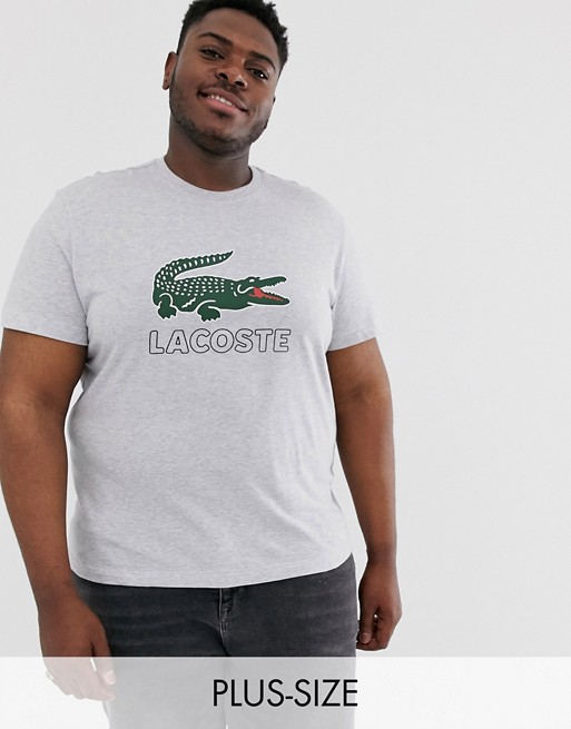 Lacoste large chest logo t-shirt in grey