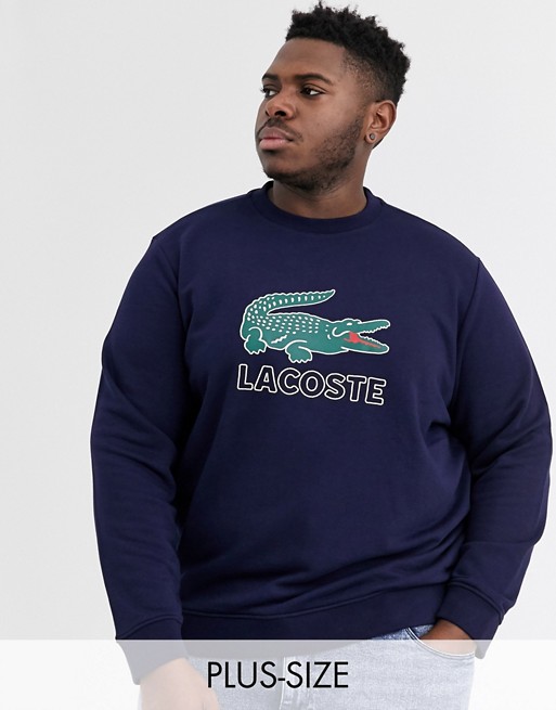 Lacoste large croc chest logo crew neck sweat in navy