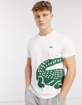 Lacoste large croc logo pima cotton t 