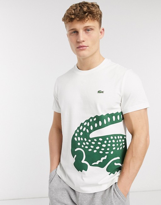 Lacoste large croc logo pima cotton t-shirt in white