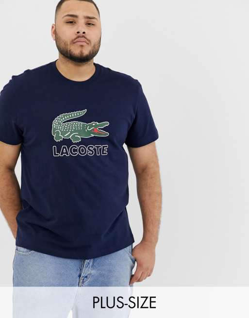 Lacoste plus deals size