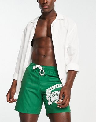 Lacoste large logo swim shorts in green
