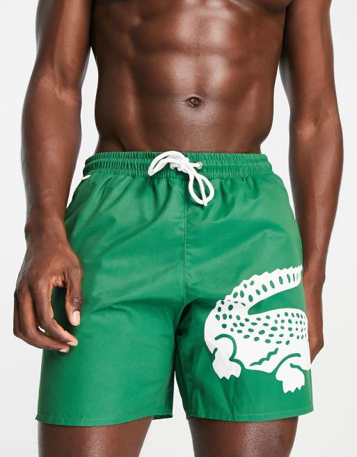 Lacoste Large Logo Swim Shorts In Green atelieryuwa.ciao.jp