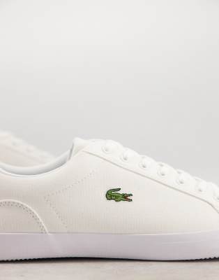 latest lacoste slippers