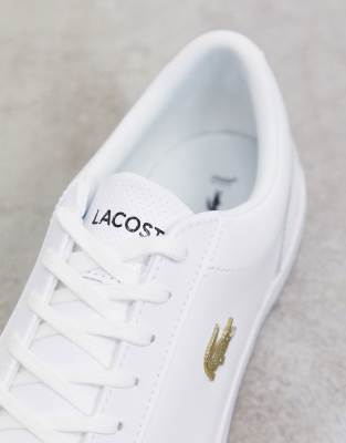 lacoste gold croc