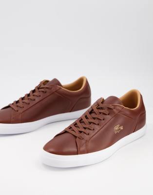 lacoste lerond brown