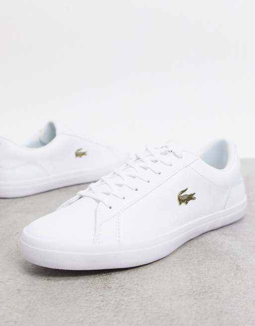 Lacoste on sale shoes asos