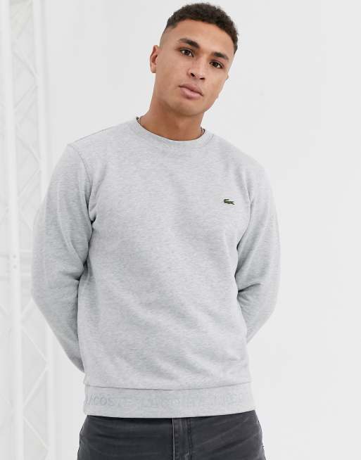 Lacoste logo crew neck sweat in gray