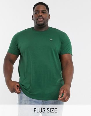 dark green lacoste t shirt
