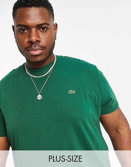 Lacoste logo pima cotton t-shirt in dark green