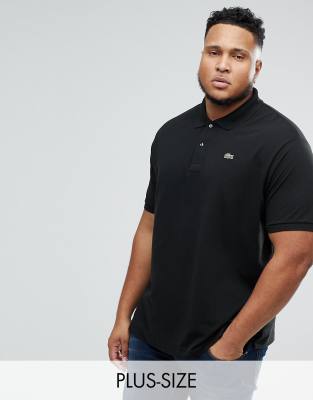 plus size lacoste polo shirts
