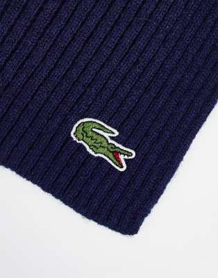 lacoste scarf and gloves