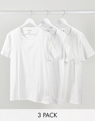 lacoste white shirt