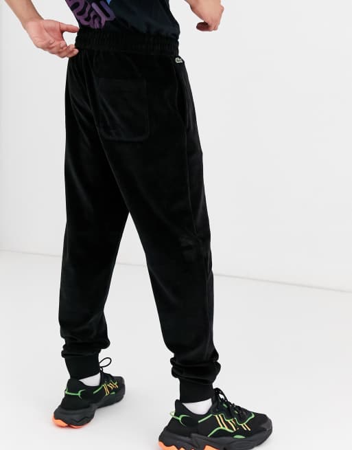 Lacoste discount velvet sweatpants