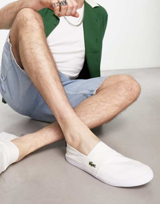 Lacoste men's slip store on canvas shoes