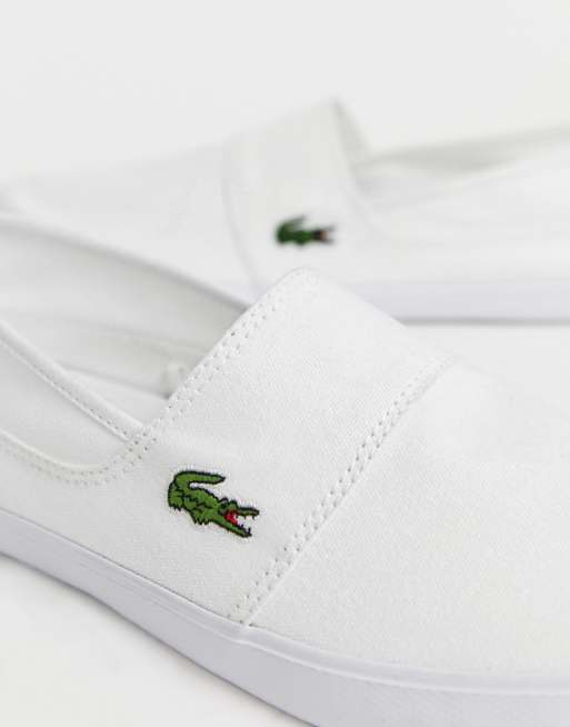 Lacoste Slip Poland, SAVE 54%, 50% OFF