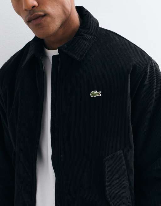 Lacoste padded cord aviator jacket in black, 4 of 5