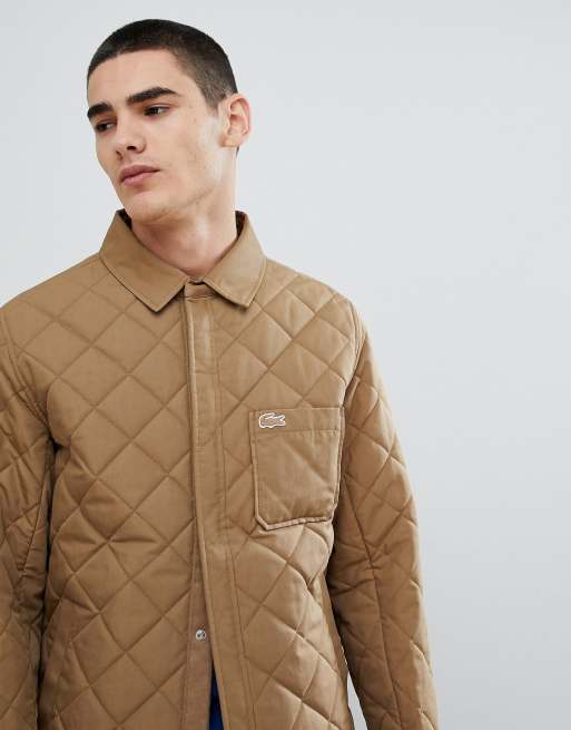 høg pude Klan Lacoste padded quilted jacket in olive | ASOS