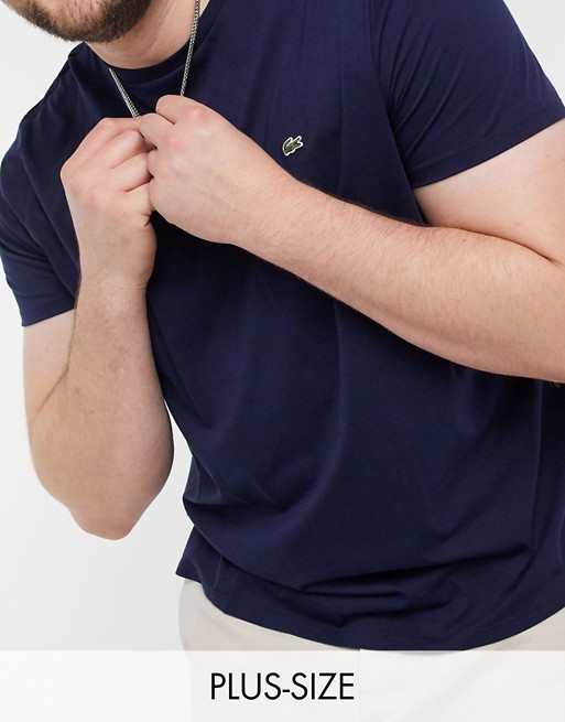Lacoste pima cotton t-shirt with croc in navy