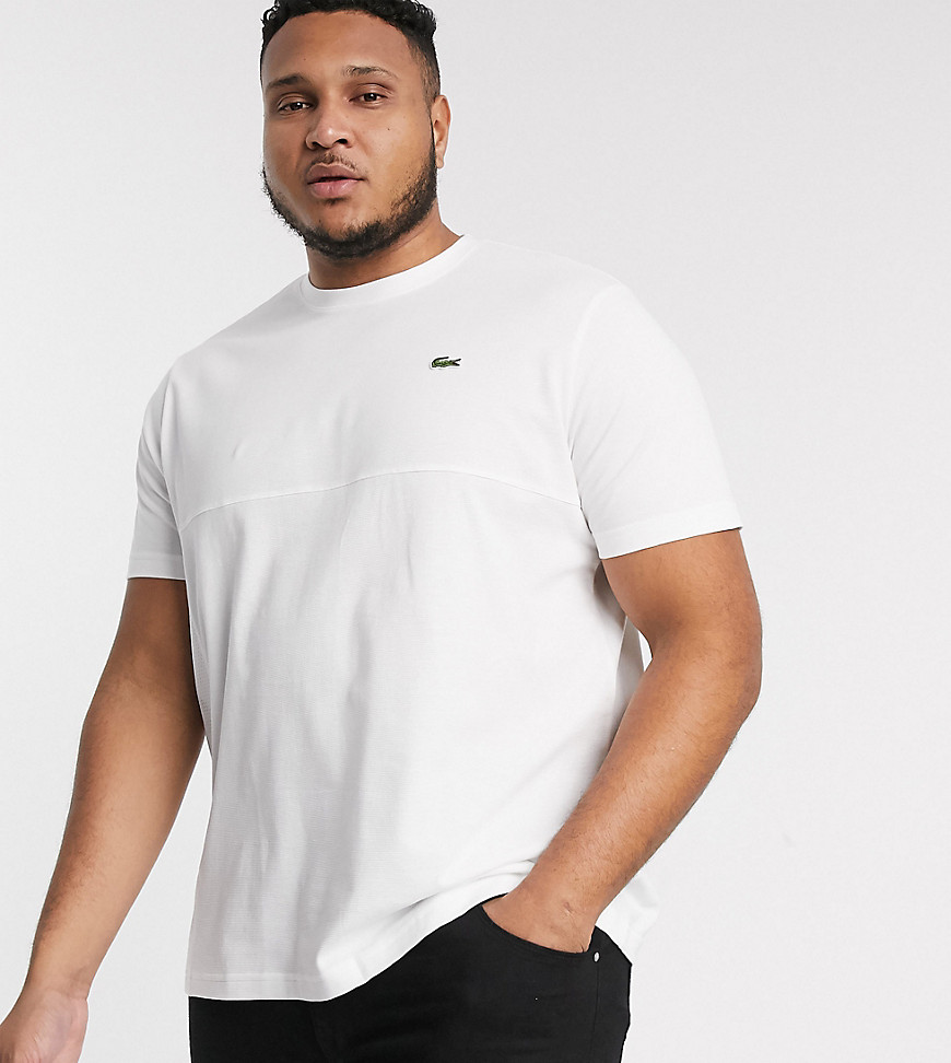 Lacoste PLUS logo t-shirt-White