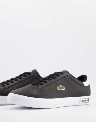 lacoste leonard trainers