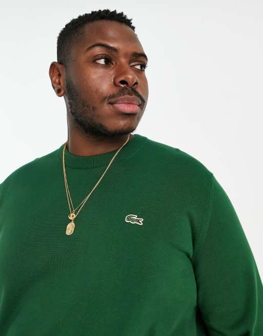 Lacoste Pull ras de cou en maille logo Vert