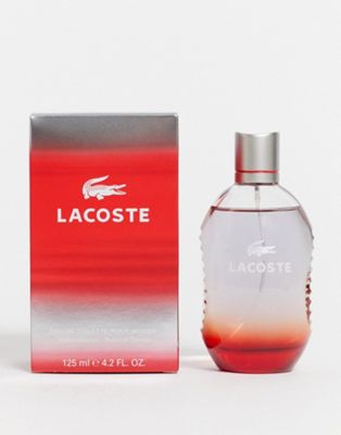 lacoste red homme