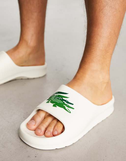 Claquette lacoste foot online locker