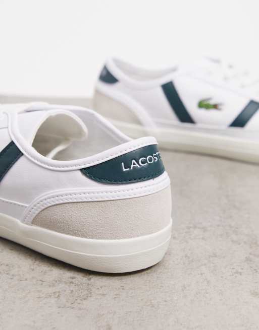 Lacoste sideline leather sneakers with green stripes