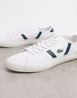 lacoste sideline trainers