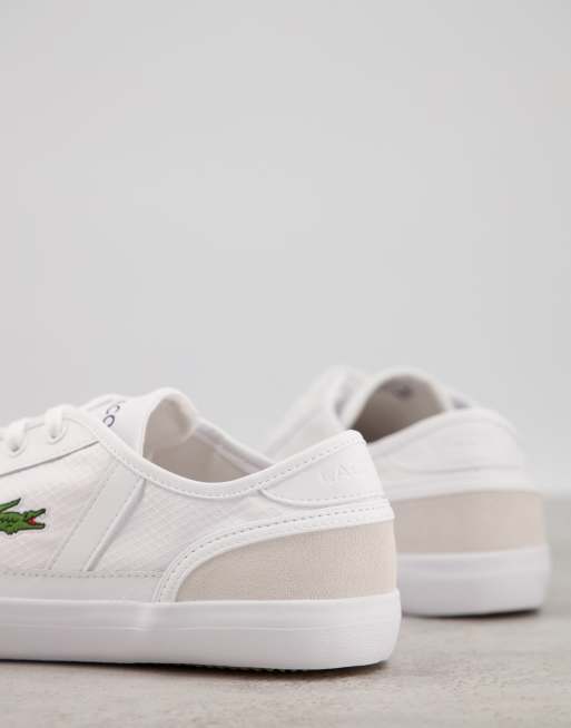 Lacoste sideline sales 119 1