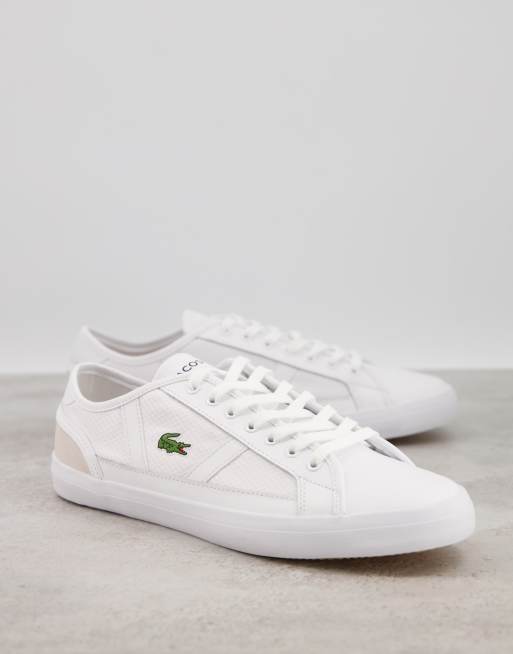 Lacoste deals sideline trainers