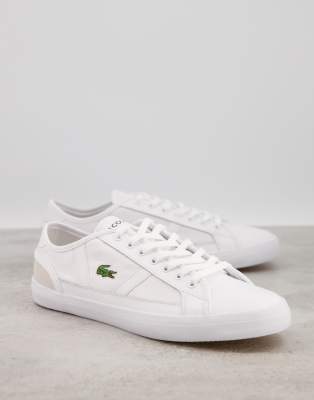 lacoste sideline