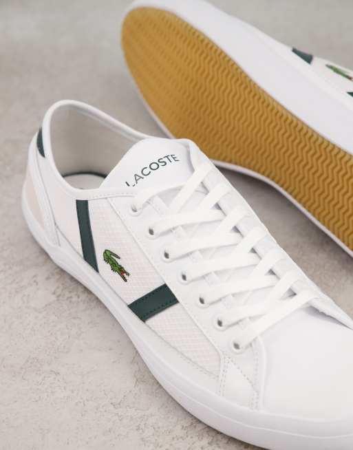 Lacoste 2025 sideline white