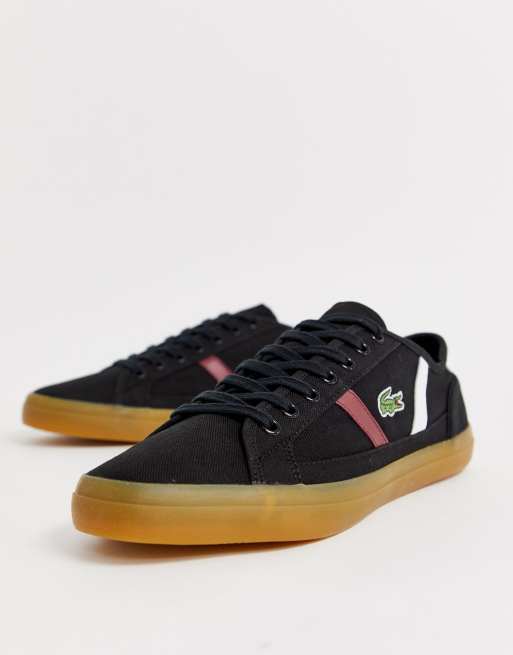 Lacoste black shop canvas shoes