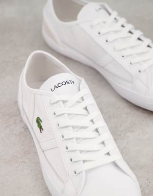 lacoste sideline white