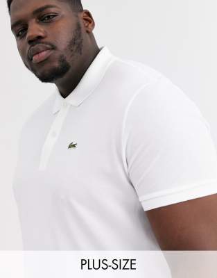 lacoste slim fit white shirt