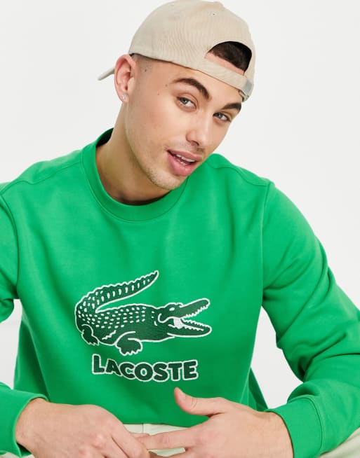 Lacoste smashed croc crew neck sweatshirt in green | ASOS