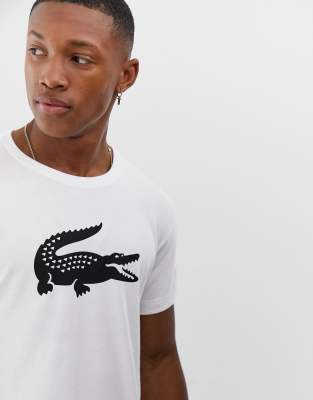 crocodile brand and lacoste