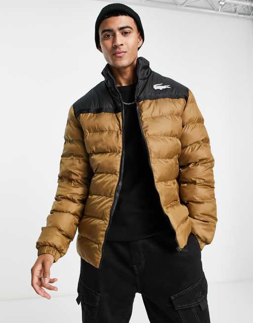 Puffer jacket outlet lacoste