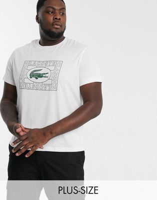 lacoste outlet us