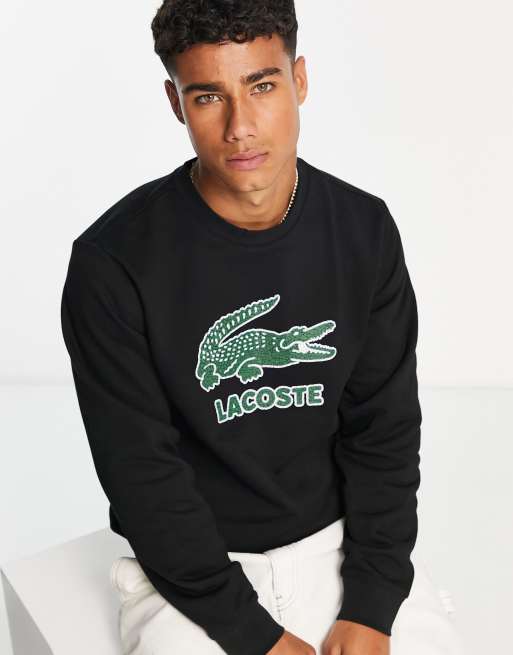 mit großem – Schwarz Lacoste Sweatshirt in | ASOS Logo