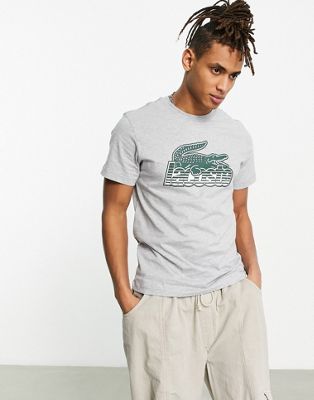 Lacoste t-shirt in grey with front graphics - ASOS Price Checker