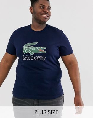 lacoste logo on shirt