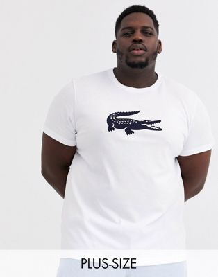 Lacoste - T-shirt met groot krokodillenlogo op de borst in wit