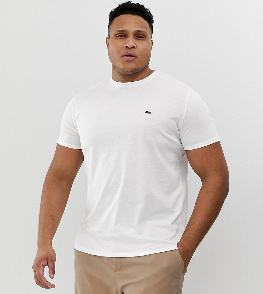 Lacoste - T-shirt met logo en ronde hals in wit